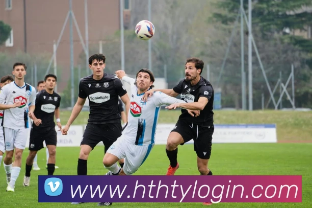 App Interface Preview