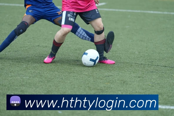 华体会体育APP 封面图